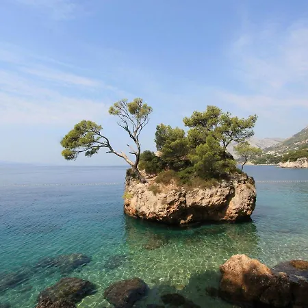 Stunning Views Hill Side With Infinity Pool & Indoor Floor Aquarium Makarska